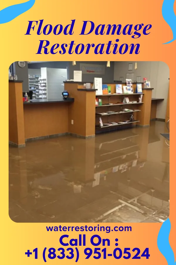 Flood Damage Restoration in Altenburg, MO